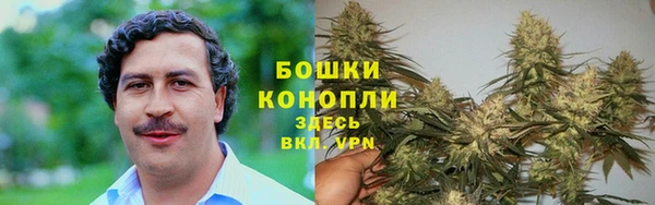 мяу мяу мука Новозыбков