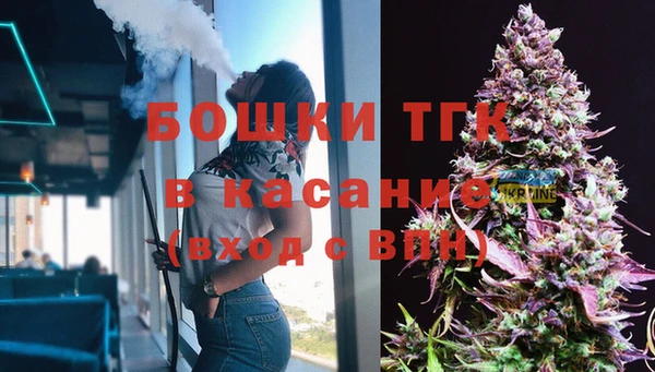 мяу мяу мука Новозыбков