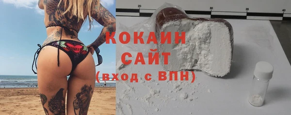 мяу мяу мука Новозыбков