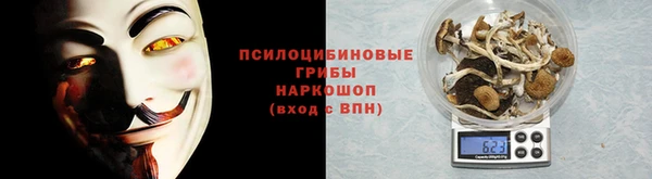 мдма Новодвинск