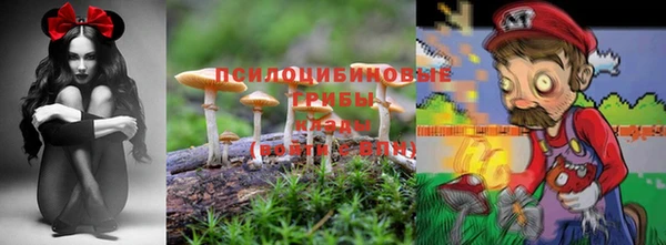 мдма Новодвинск