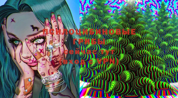 мдма Новодвинск