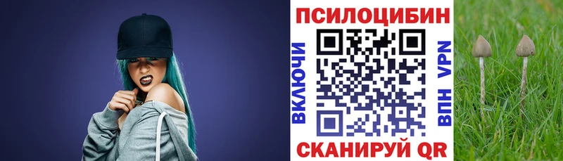 мориарти телеграм  Кемь  Псилоцибиновые грибы прущие грибы  как найти закладки 